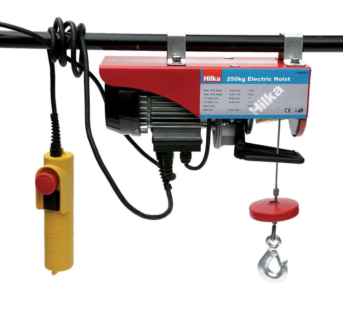 250kg Electric Hoist