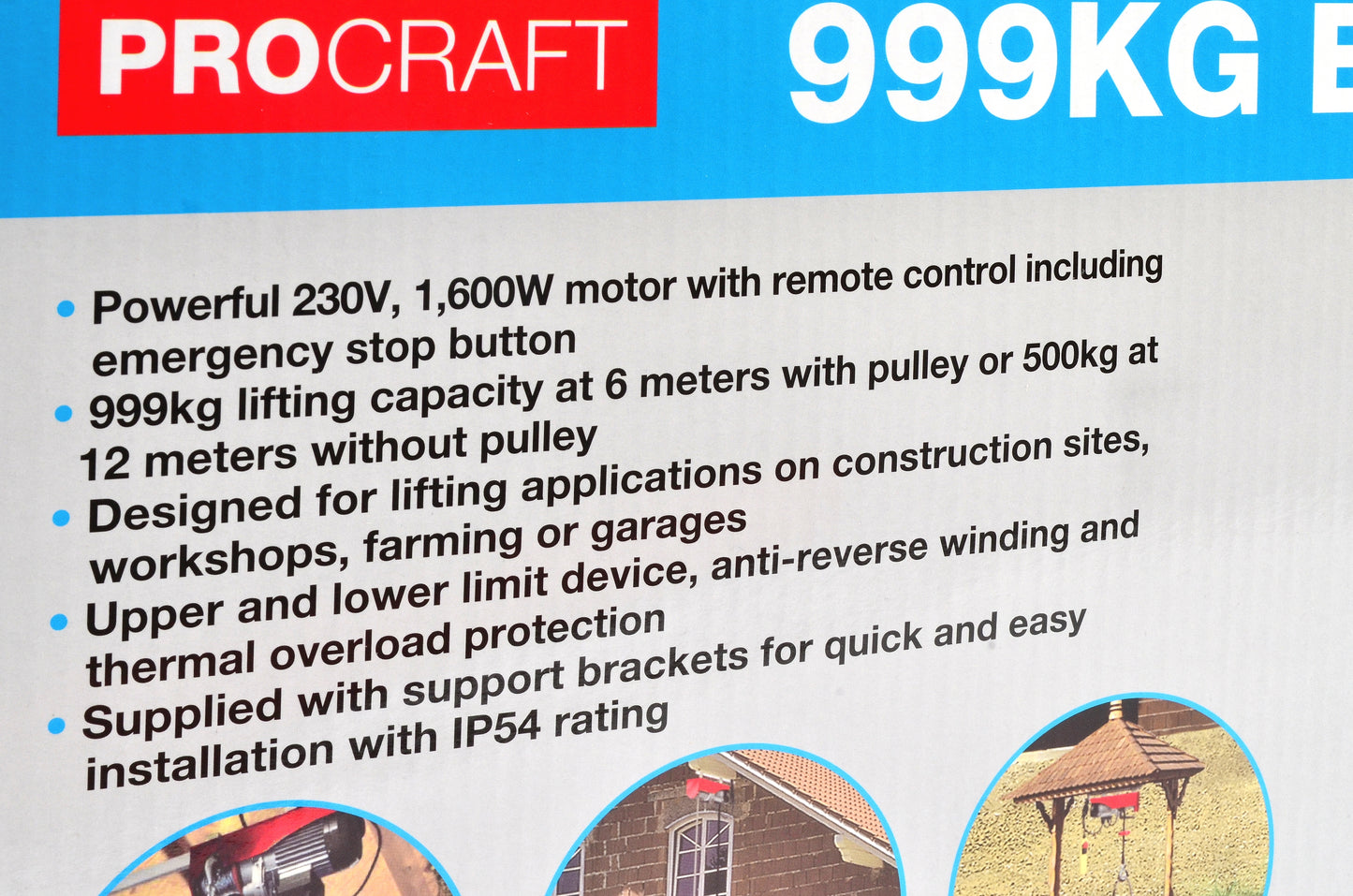 999kg Electric Hoist