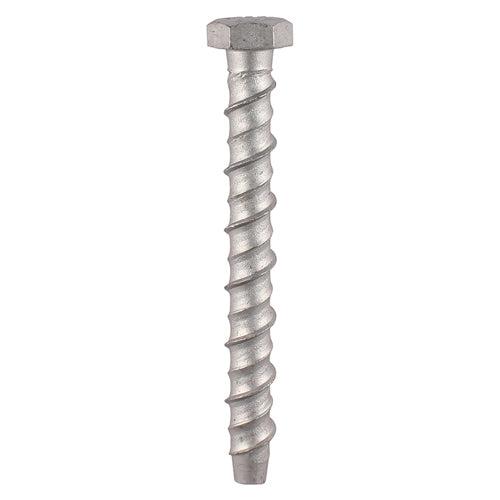 Timco Multi-Fix Bolts 10.0 x 100mm - Packet of 2