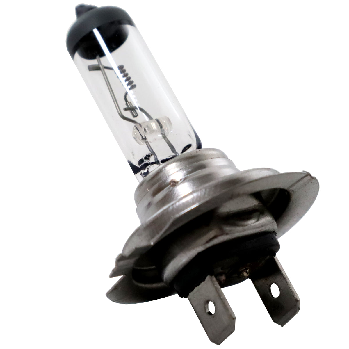 Halogen Headlight Bulbs H7 Cap 24V 70W – EB492