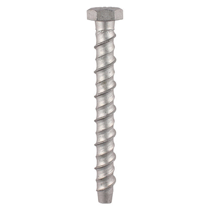 Multi-Fix Bolts 10.0 x 130mm - Packet of 2