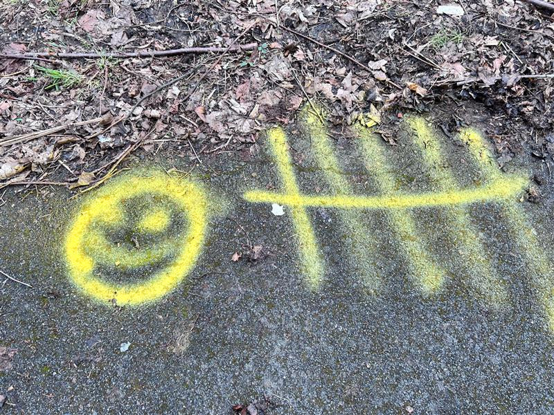 Yellow Line Marking Spray Paint – 750ml