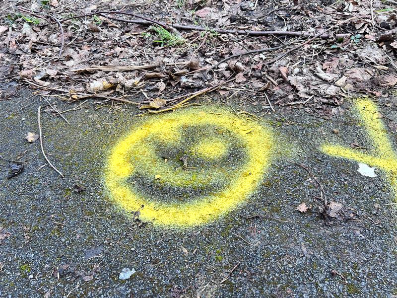 Yellow Line Marking Spray Paint – 750ml