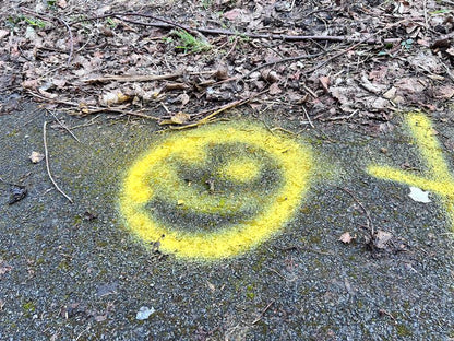 Yellow Line Marking Spray Paint – 750ml